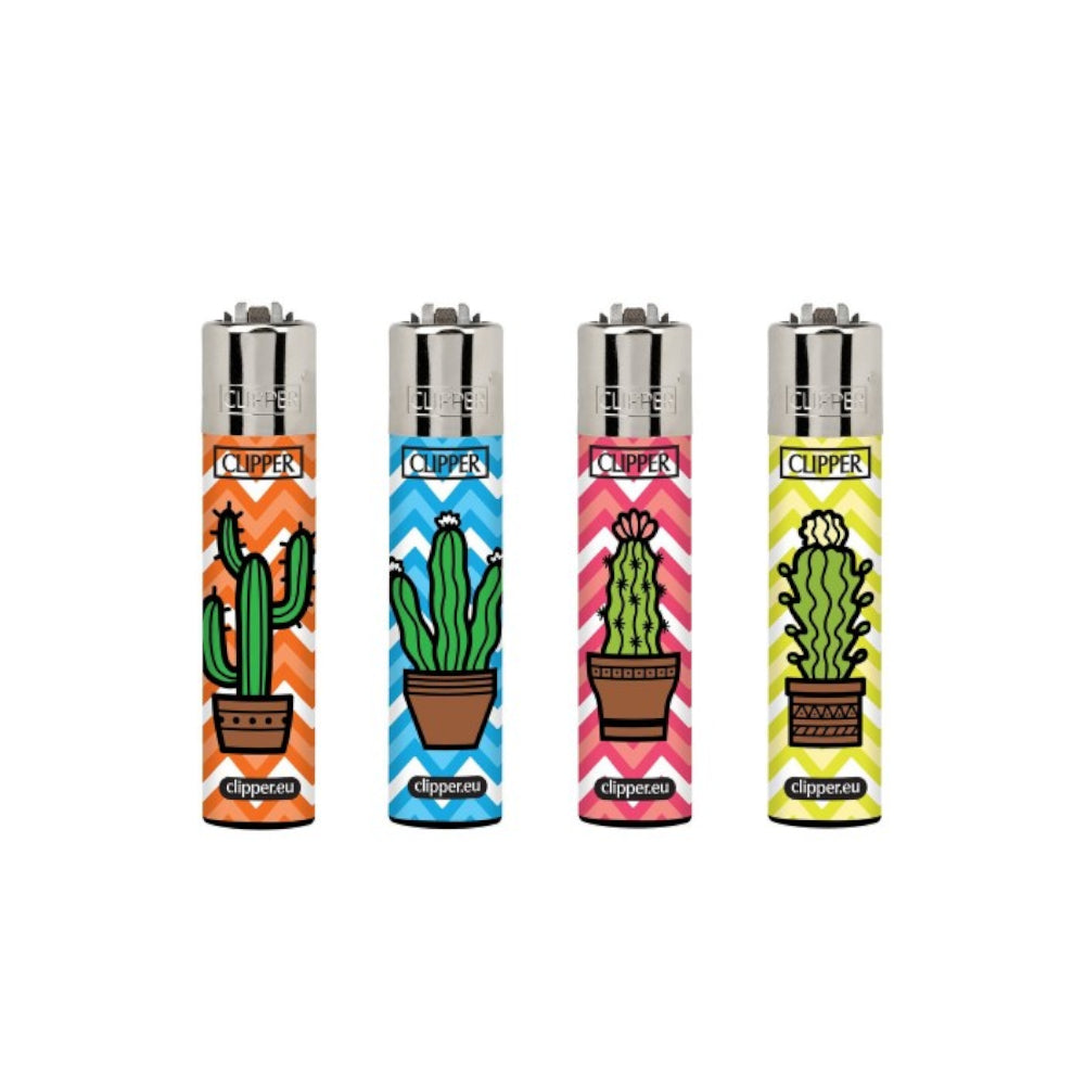 Caja Clipper Cactus III 48 uds