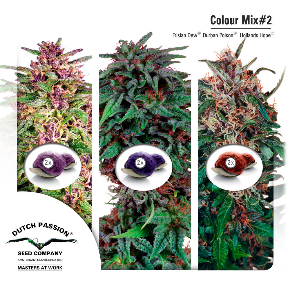 Mix No-2