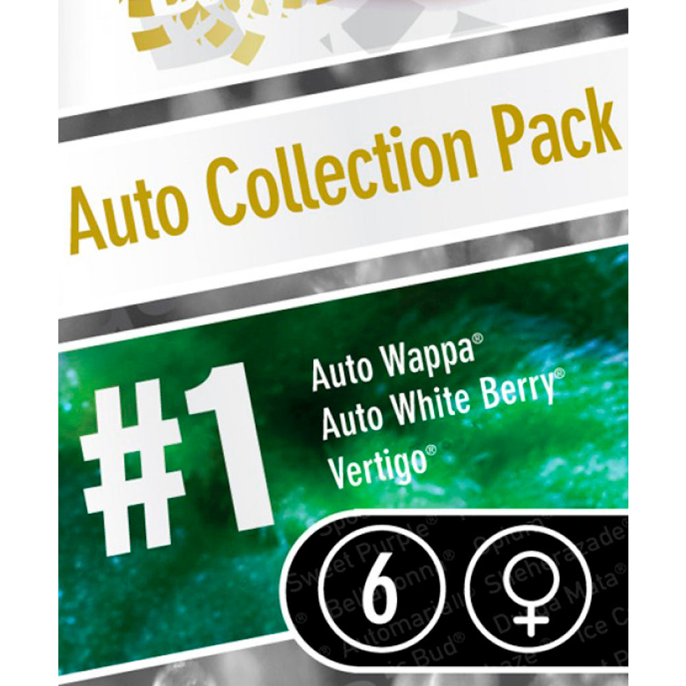 Auto Collection pack No-1