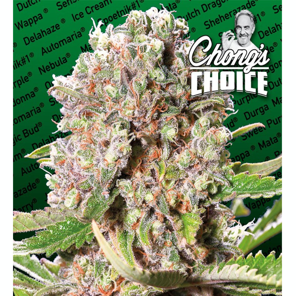 Mendocino Skunk