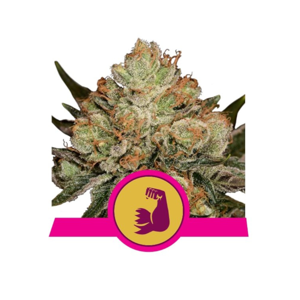 HulkBerry