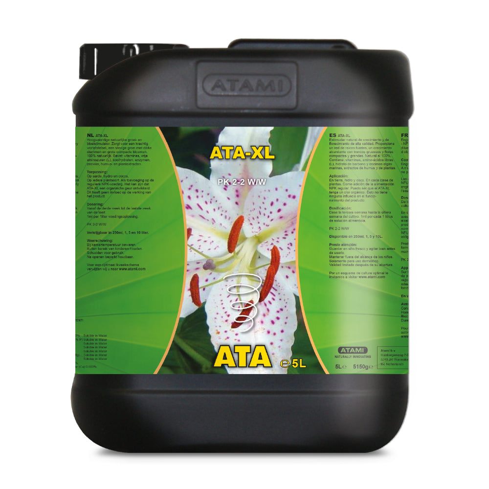 ATA XL 5L