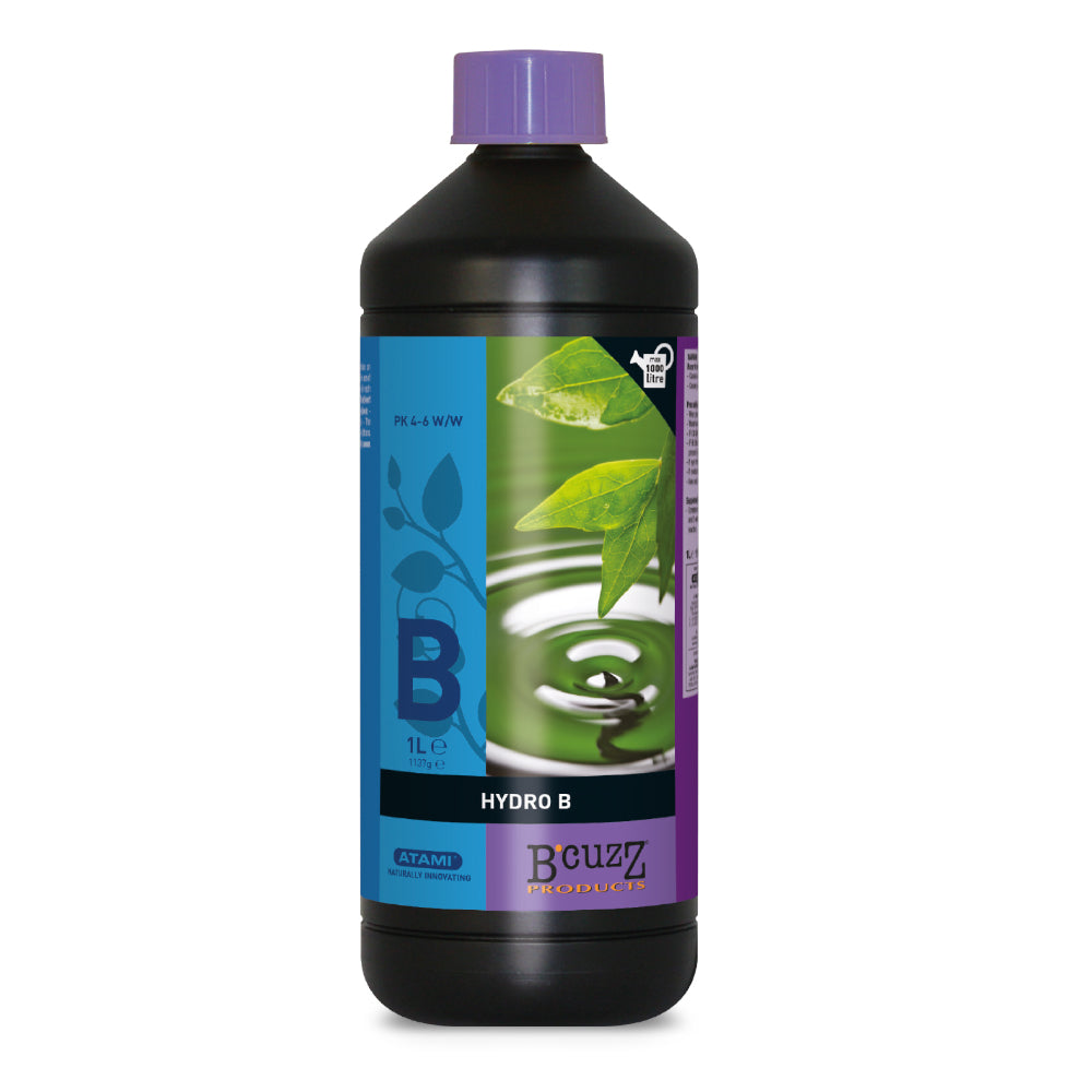 Hydro B 1L