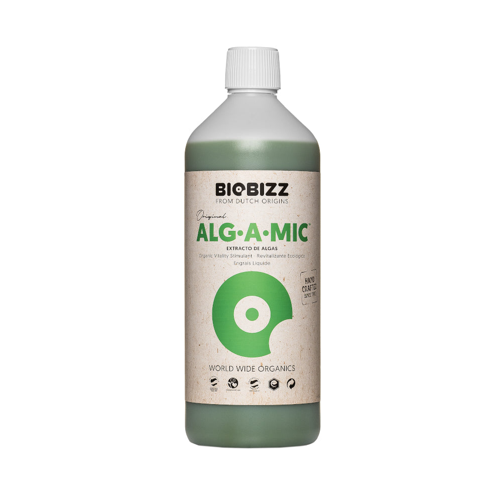 Alg A Mic 1L