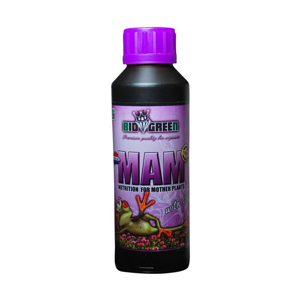 MAM 250ml