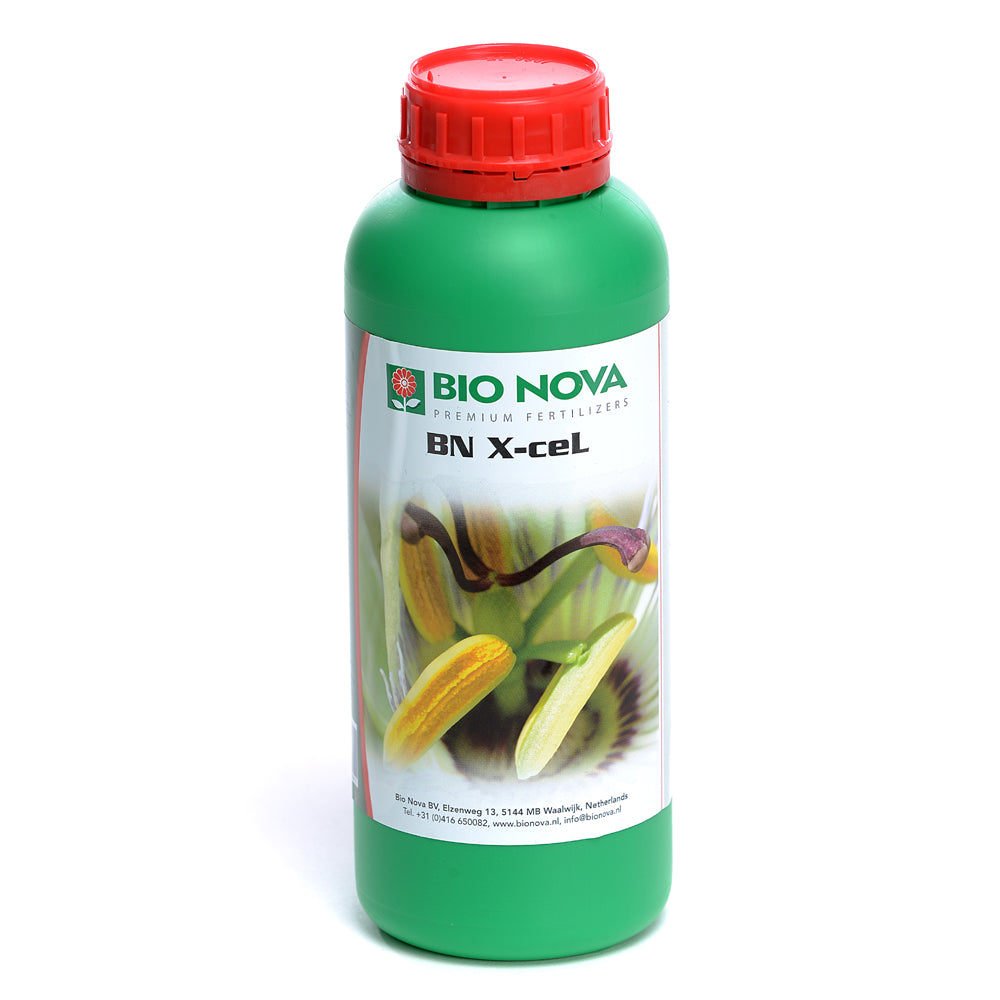 BN X-Cel 1L