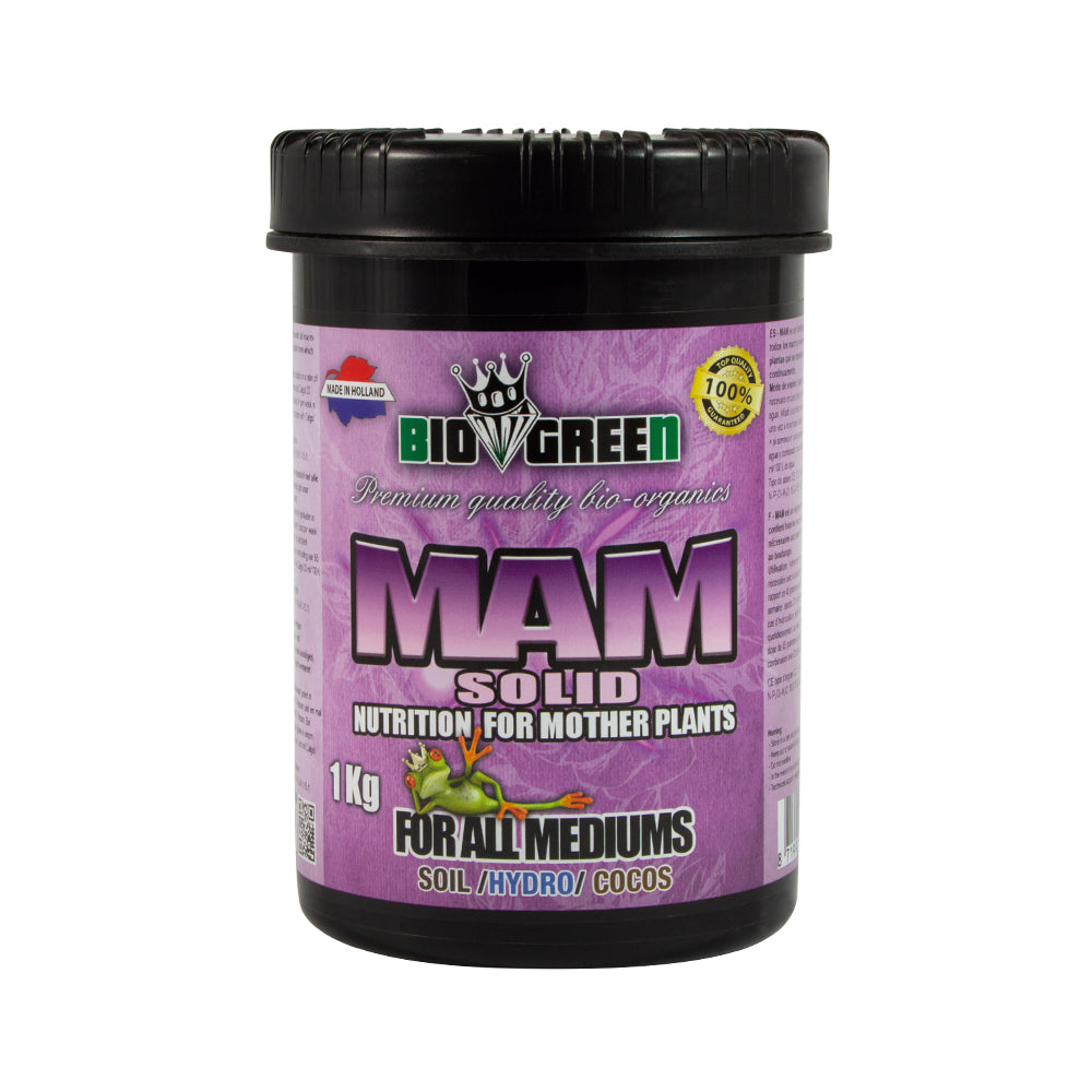 MAM 1Kg sólido