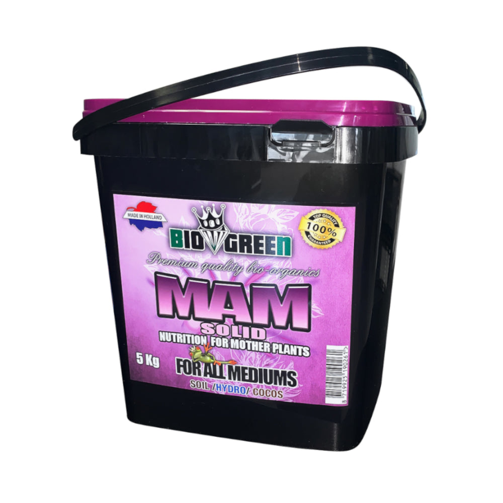 MAM 5kg sólido