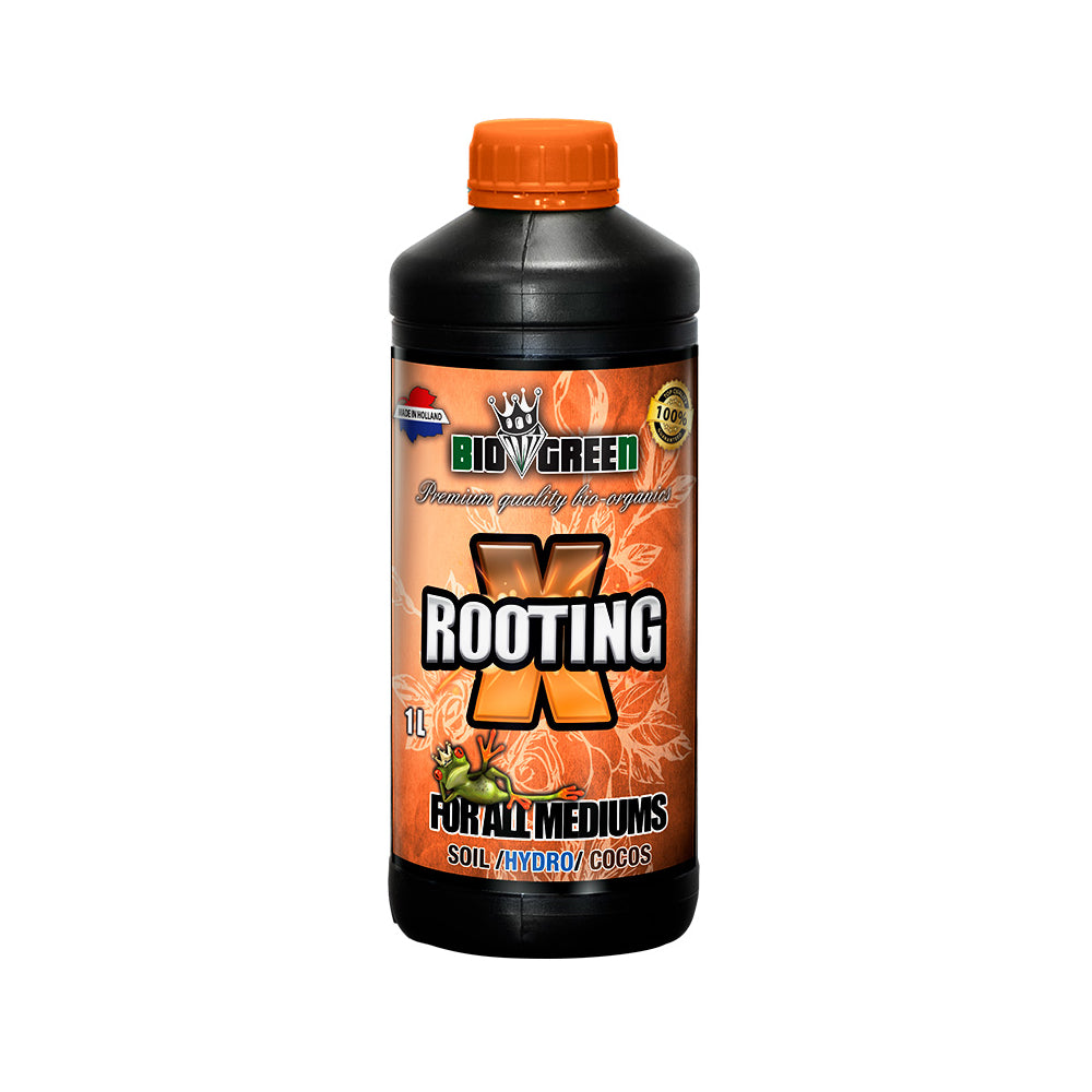 X-Rooting 1L