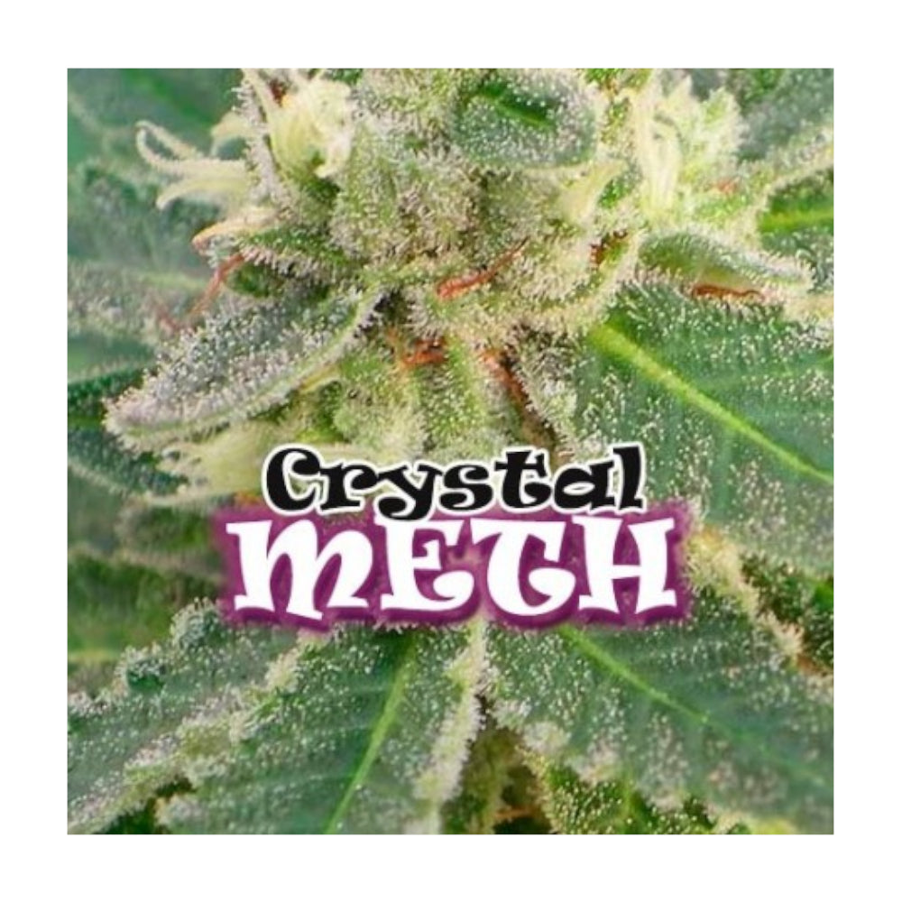 Crystal M.E.T.H.