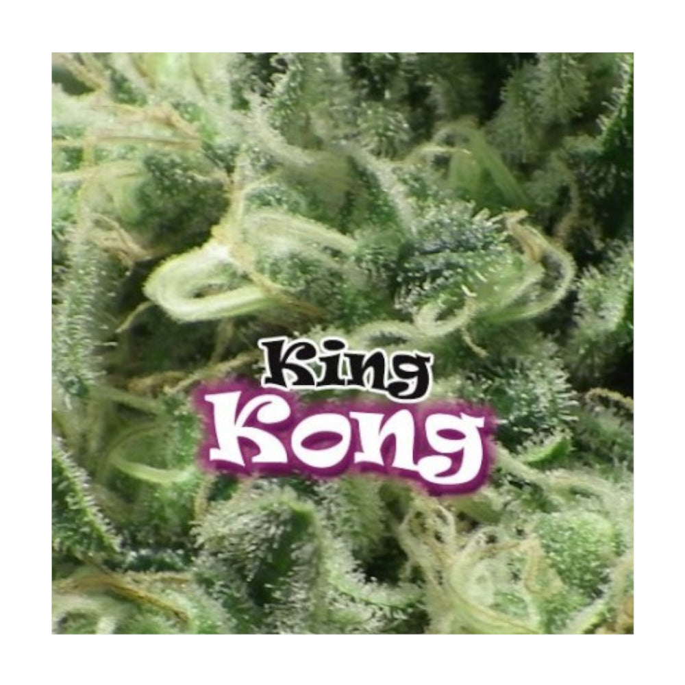 King Kong