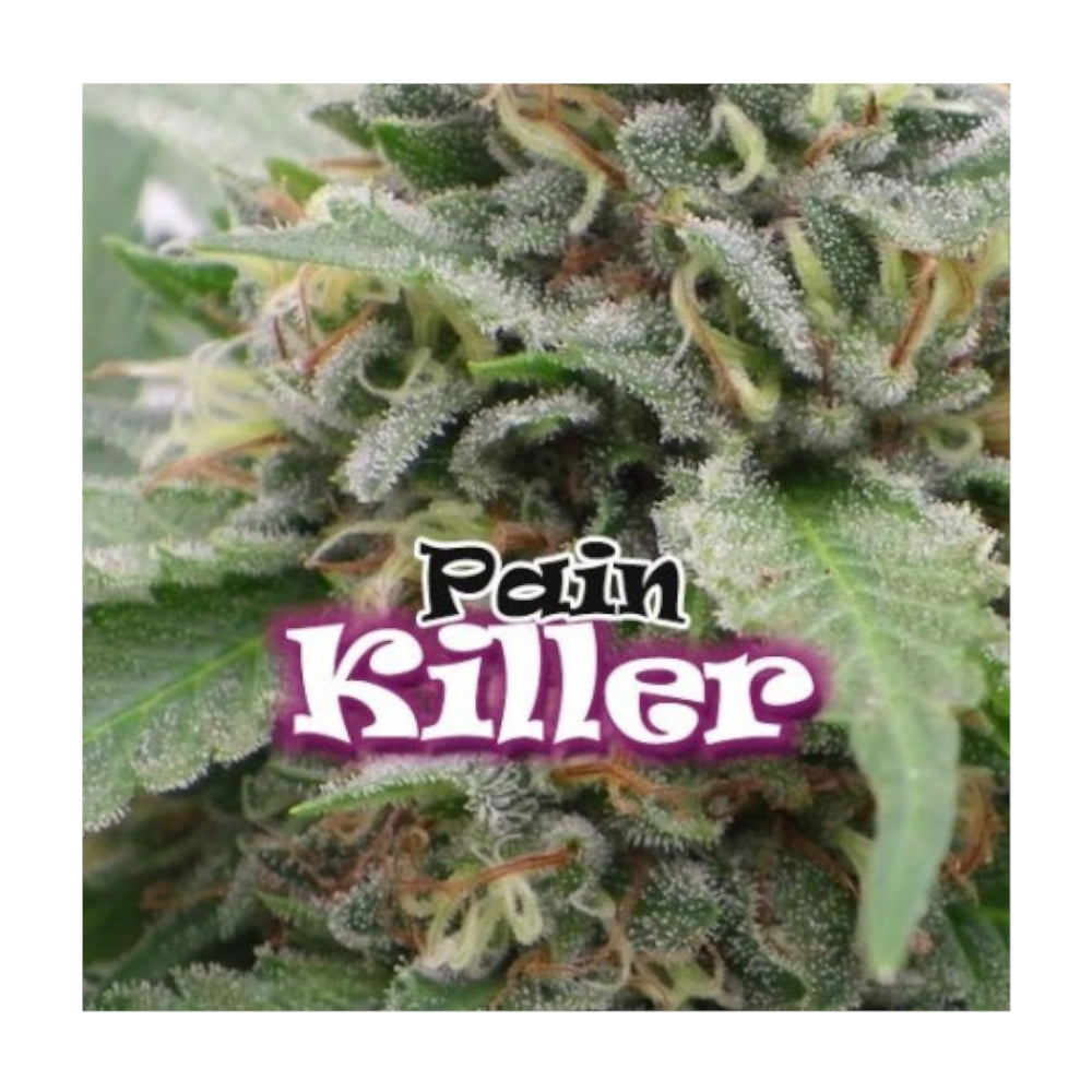 PainKiller
