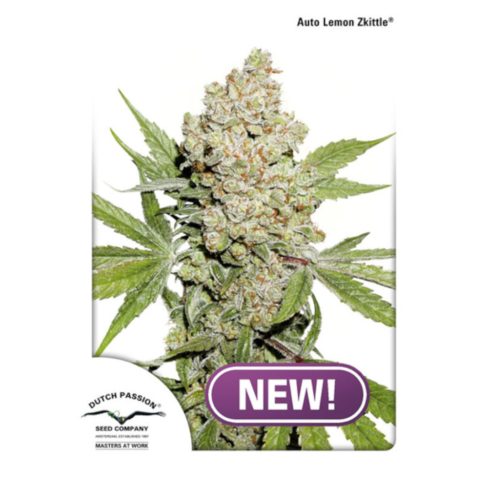 Auto Lemon Zkittle