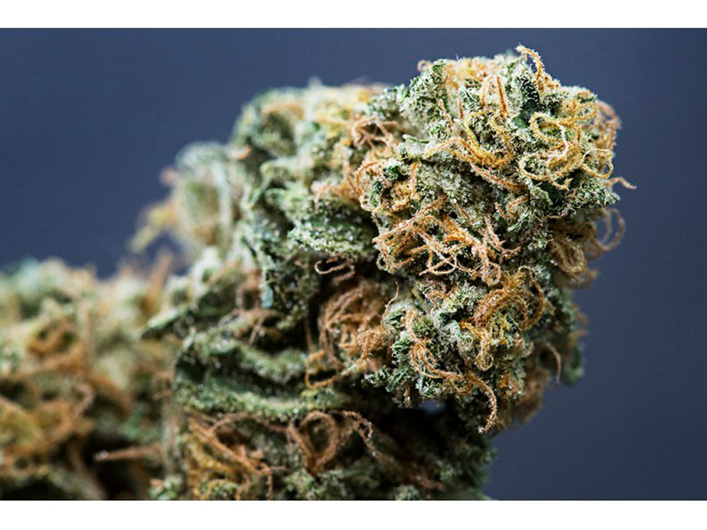 Auto Critical Punch