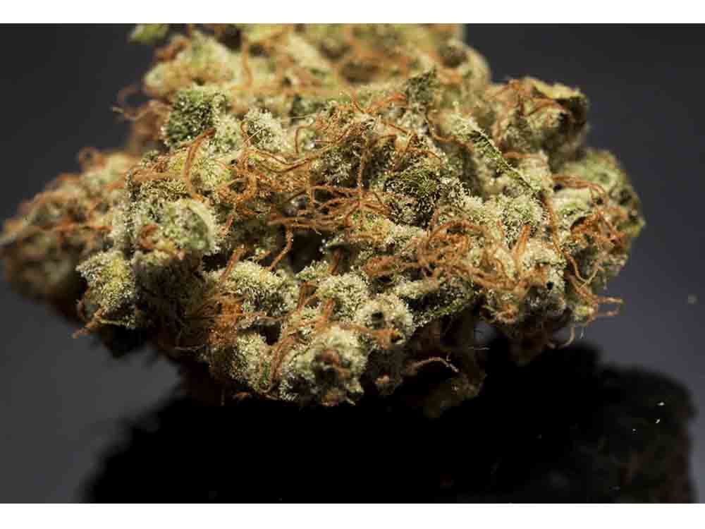 Auto Frodo´s Kush