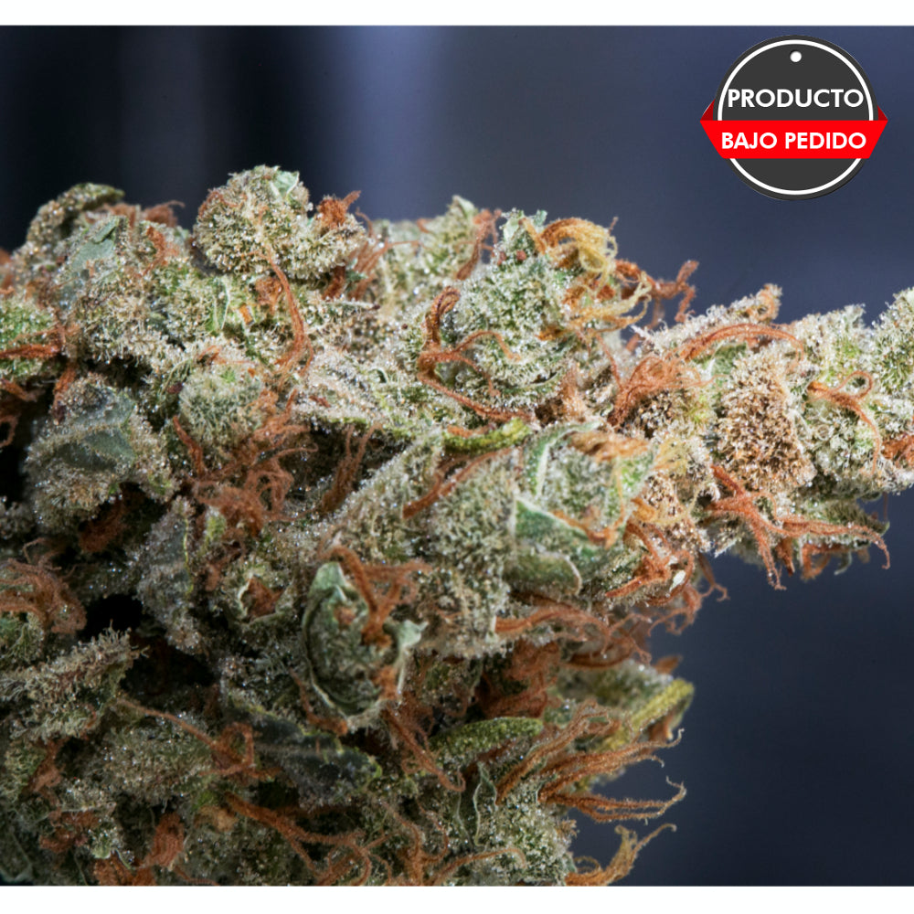 Superamnesia Haze
