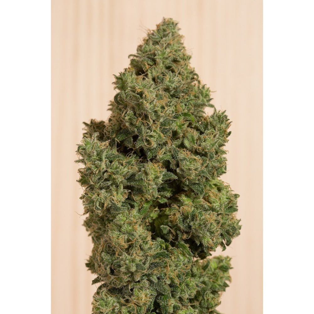 Blue Dream CBD