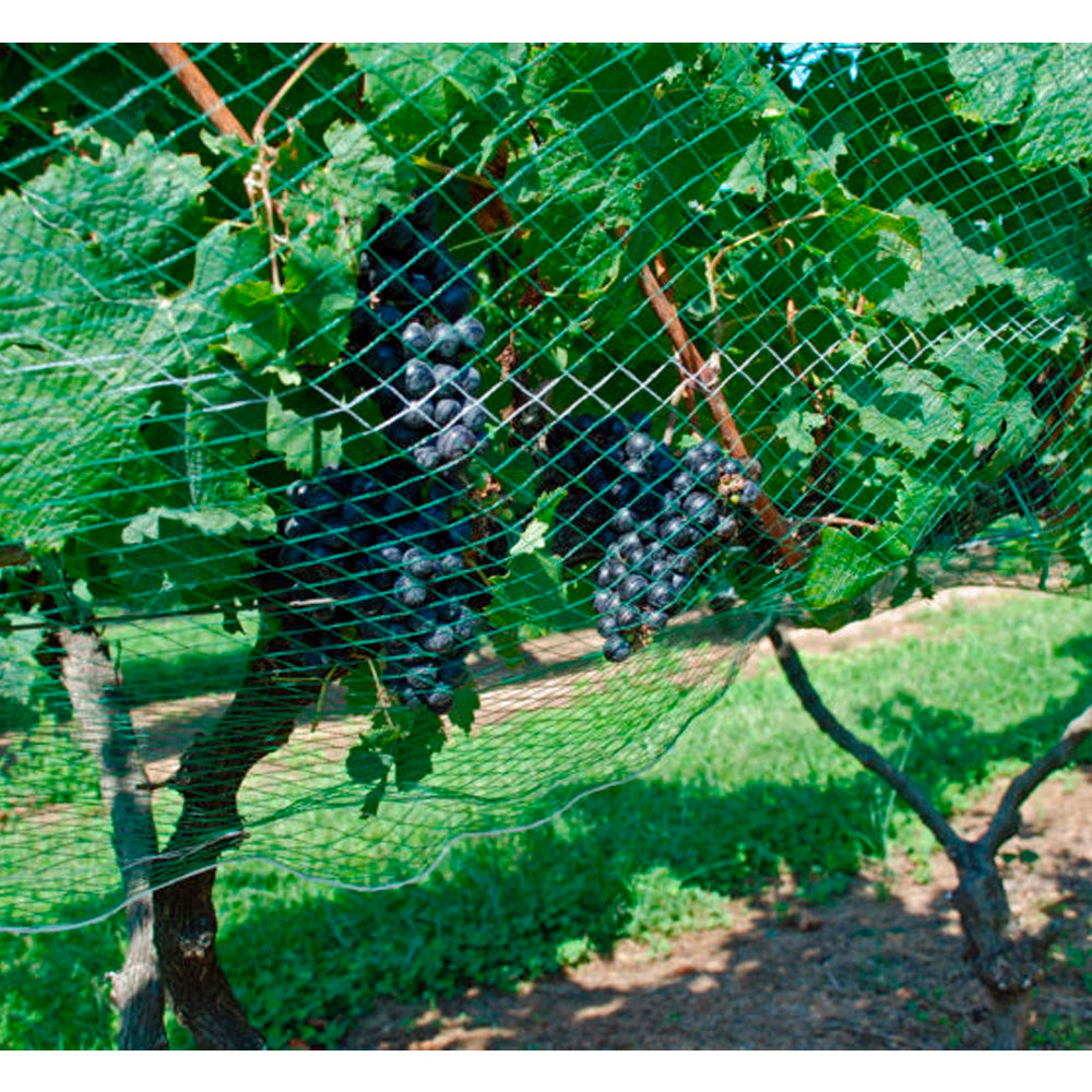 Malla de Scrog 1,2 X 50m Verde (10X10)