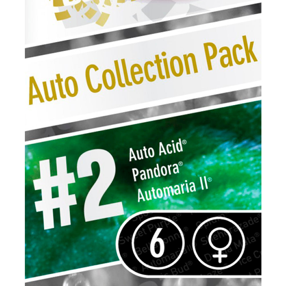 Auto Collection pack No-2