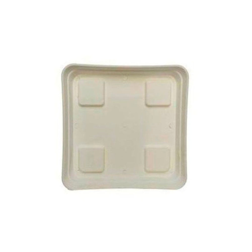 Plato cuadrado 20x20 blanco