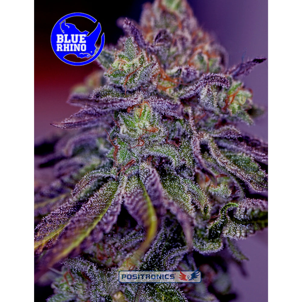 Blue Rhino