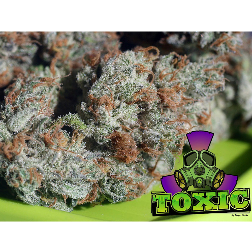 Toxic