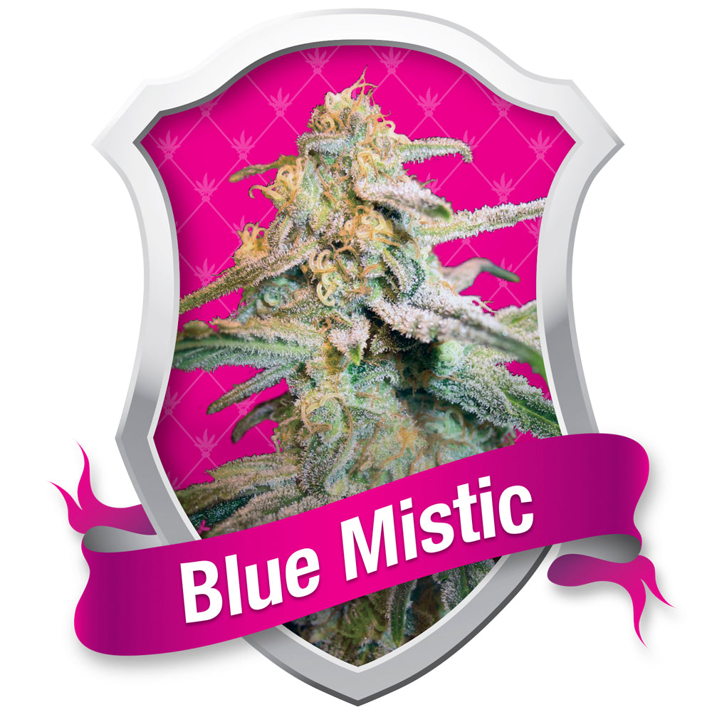 Blue Mistic