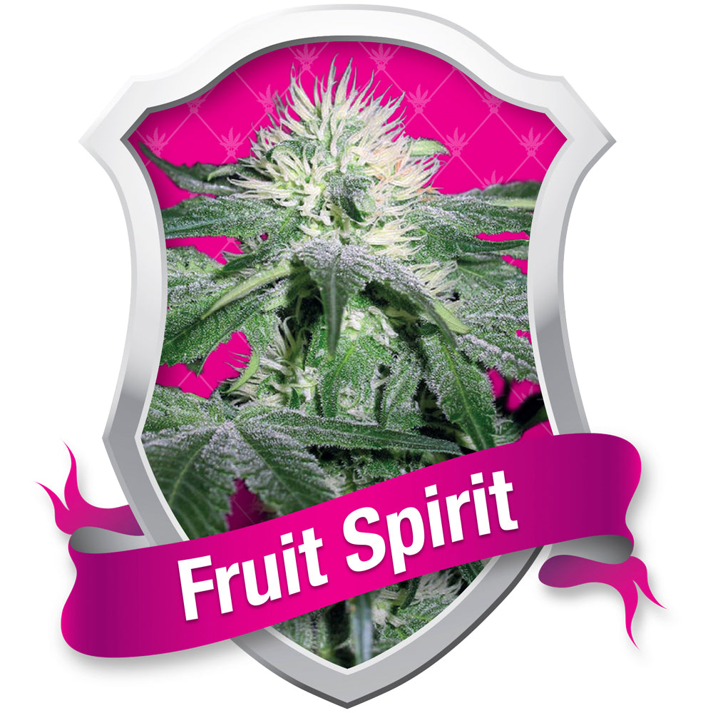 Fruit spirit