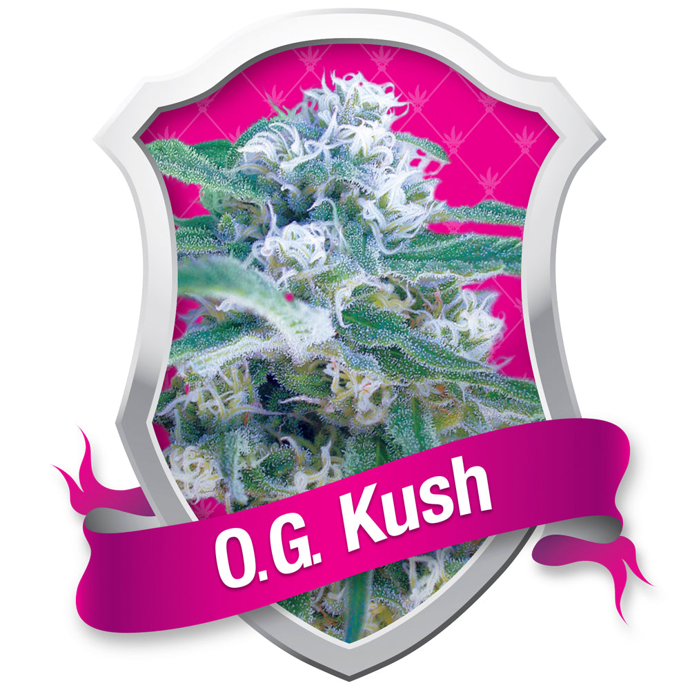 O.G. Kush