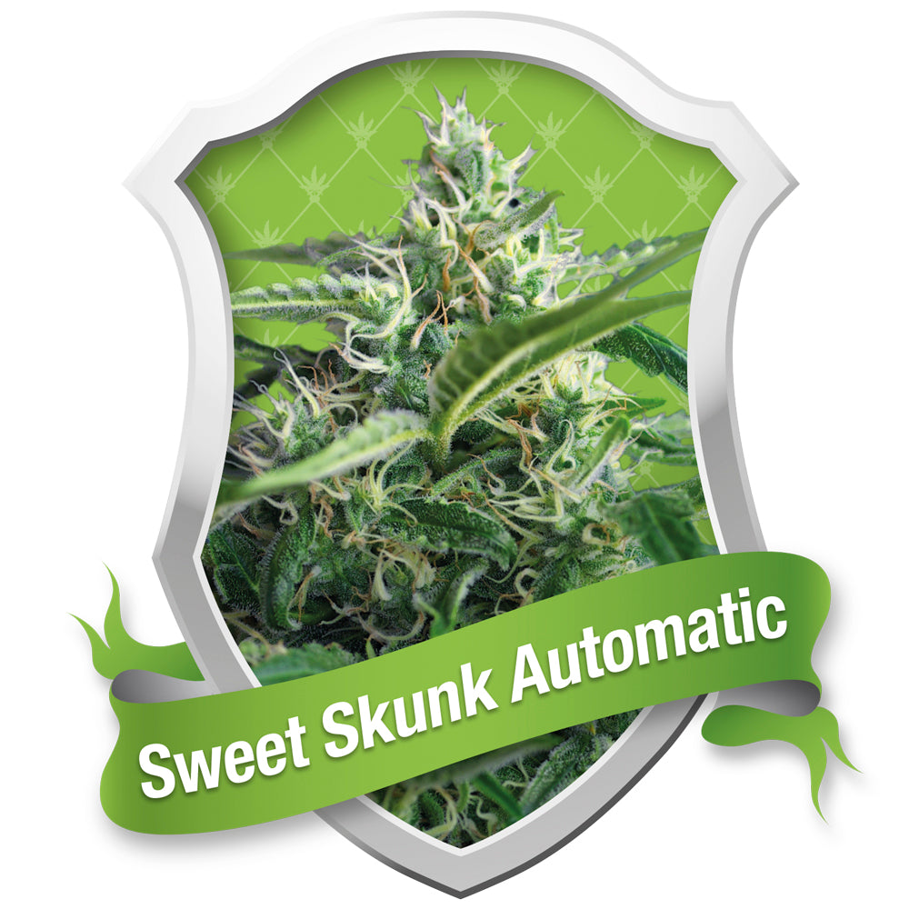 Sweet Skunk Automatic