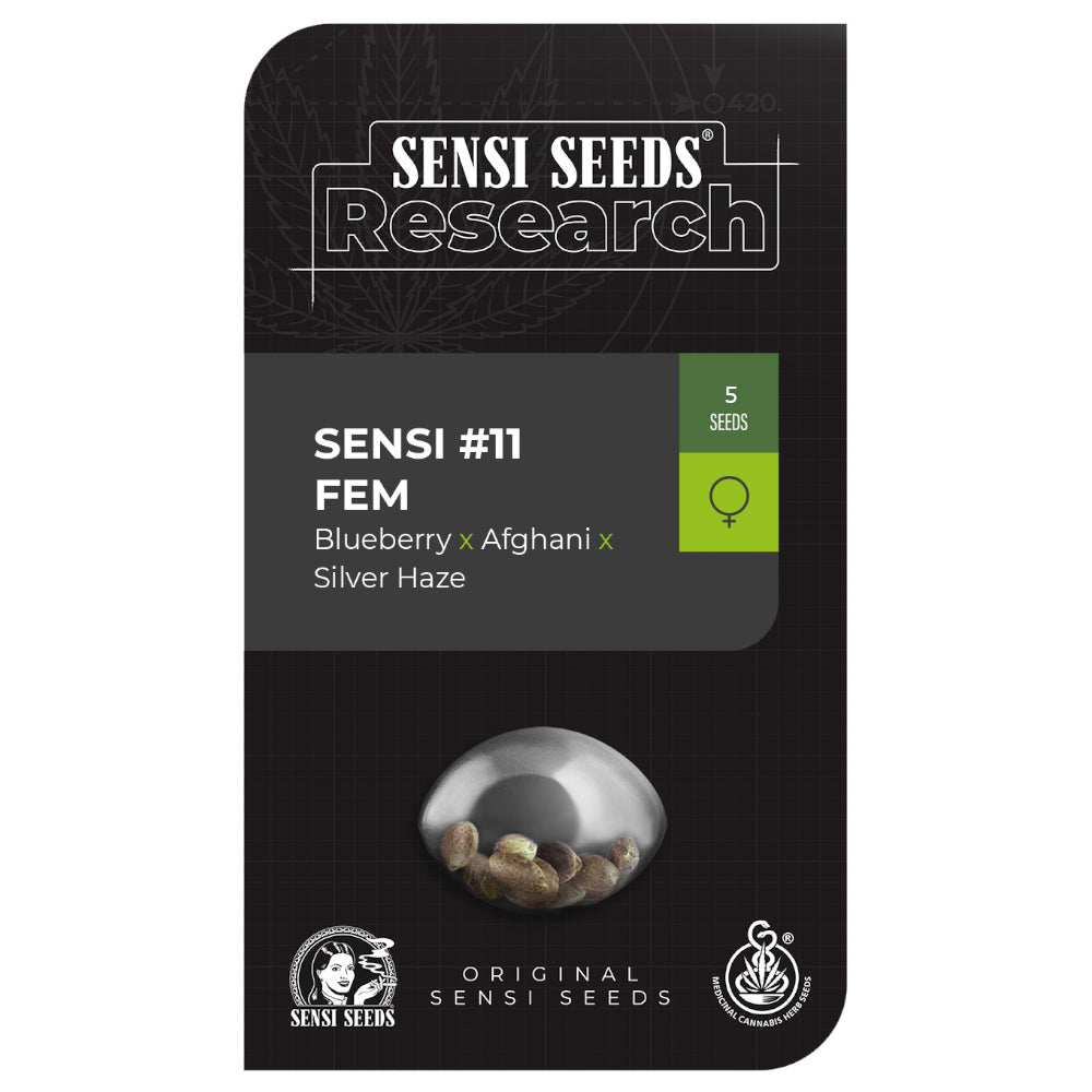 Sensi No-11 Blueberry x Afghanix Silver Haze