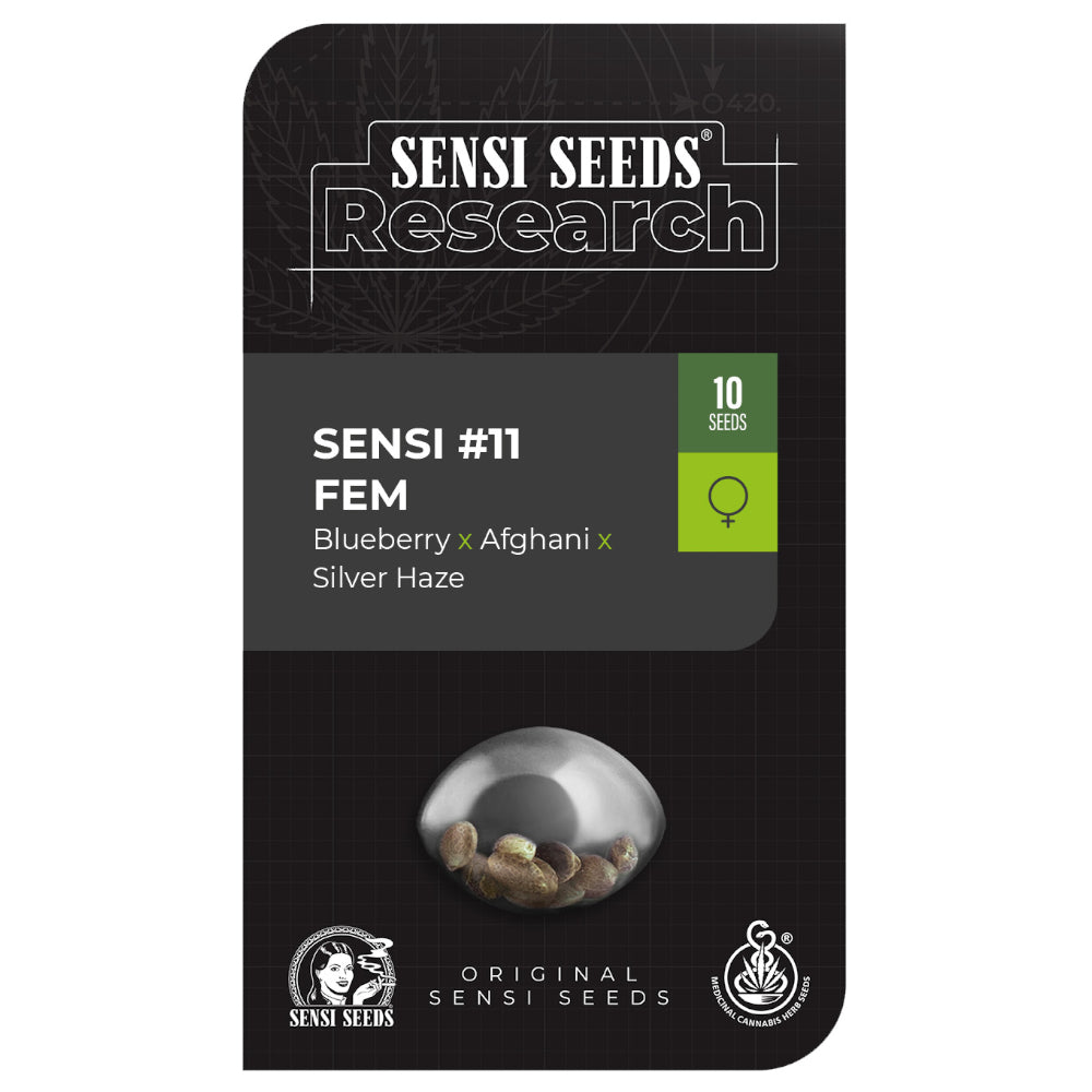 Sensi No-11 Blueberry x Afghanix Silver Haze