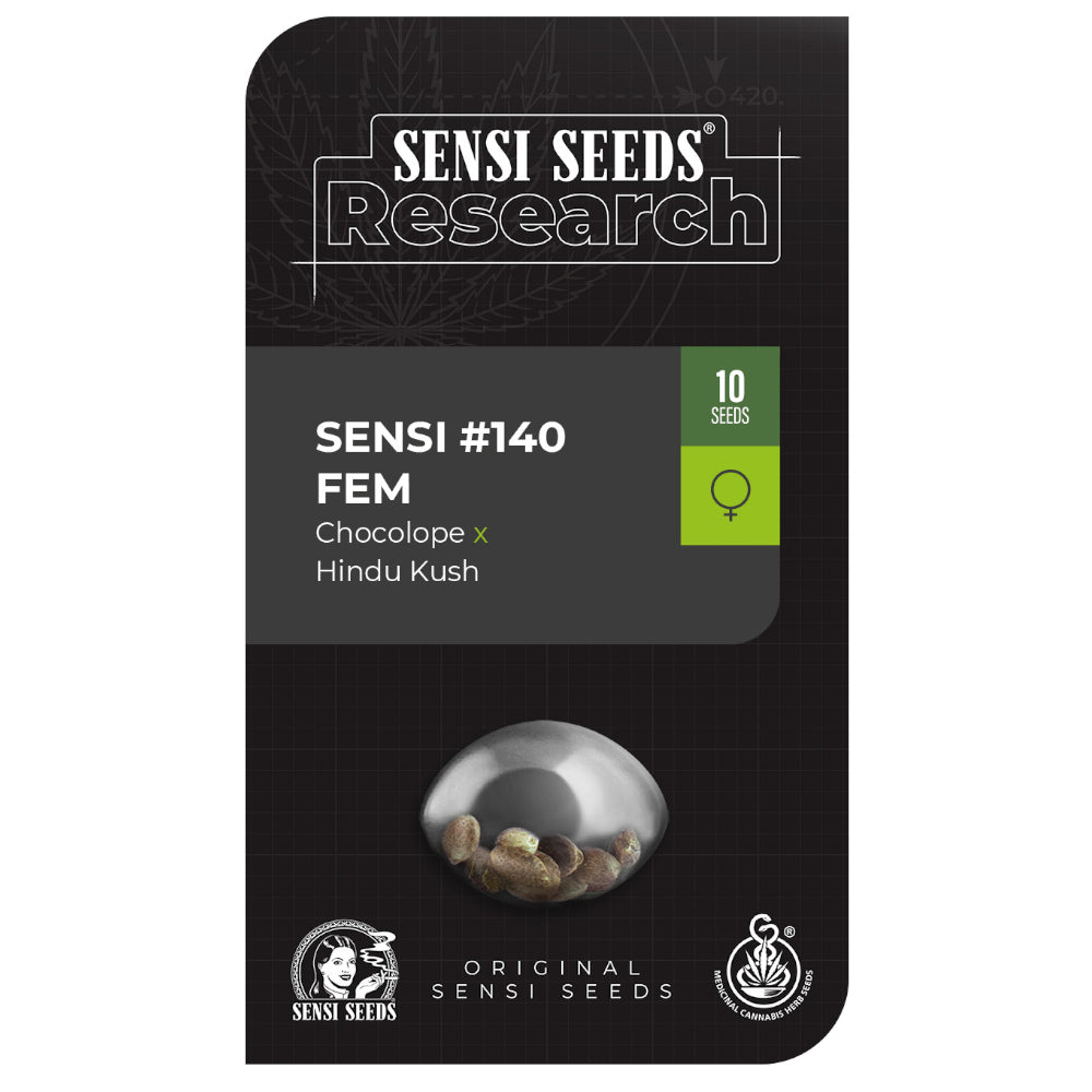 Sensi No-140 Chocolope x Hindu Kush