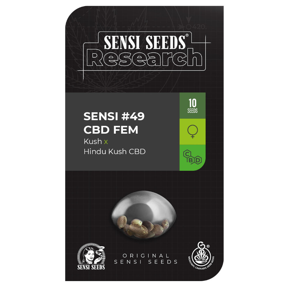 Sensi No-49 Kush x Hindu Kush CBD