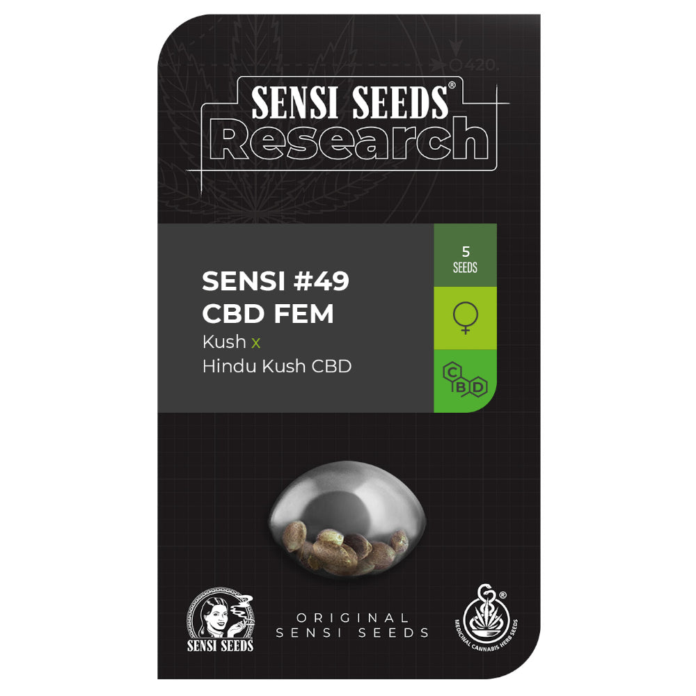 Sensi No-49 Kush x Hindu Kush CBD