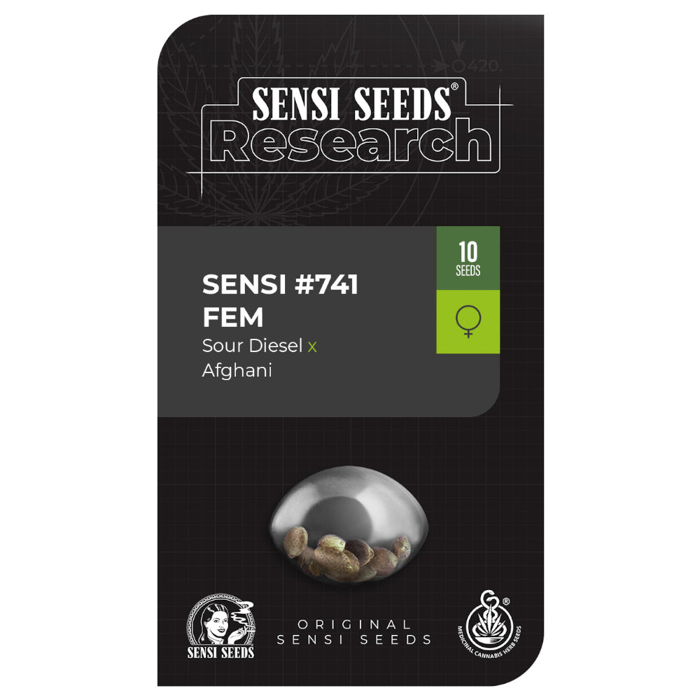 Sensi No-741 Sour Diesel x Afghani