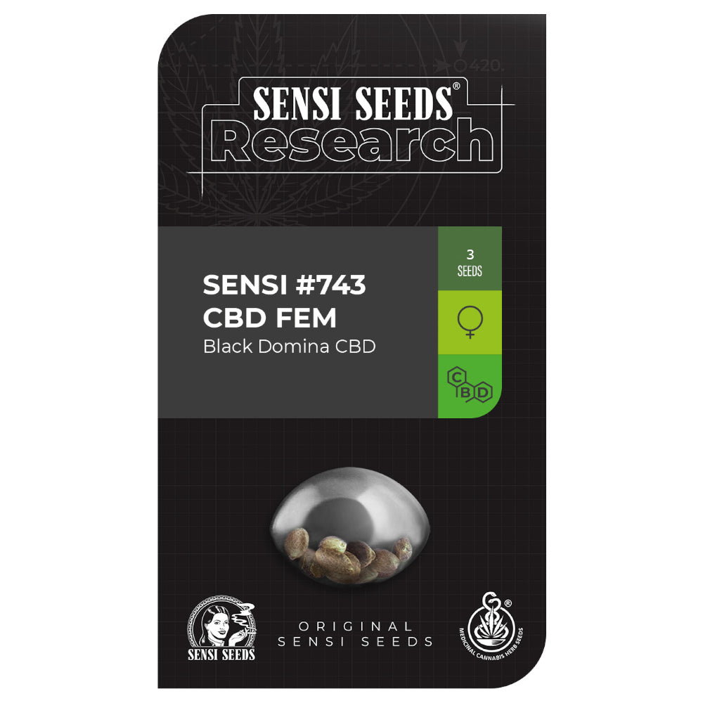Sensi No-743 Black Domina CBD