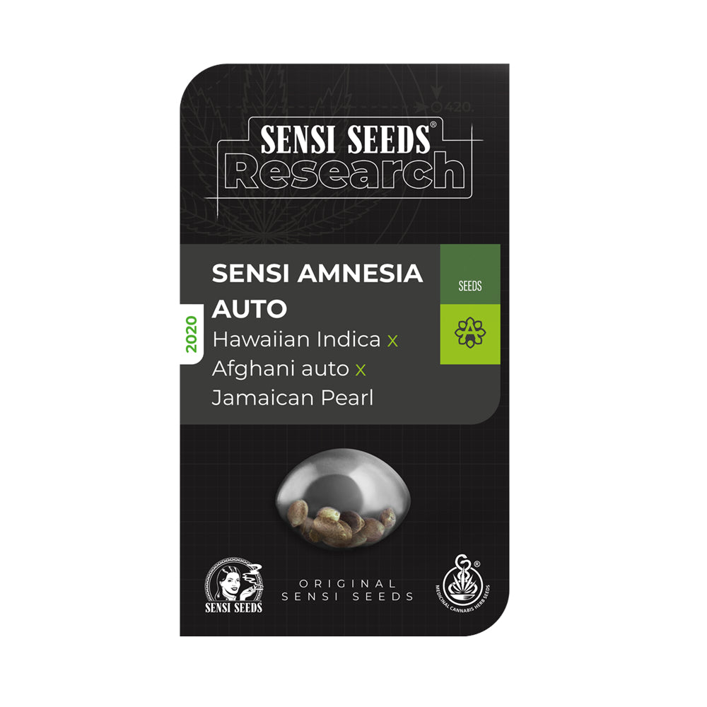 Sensi Amnesia Auto