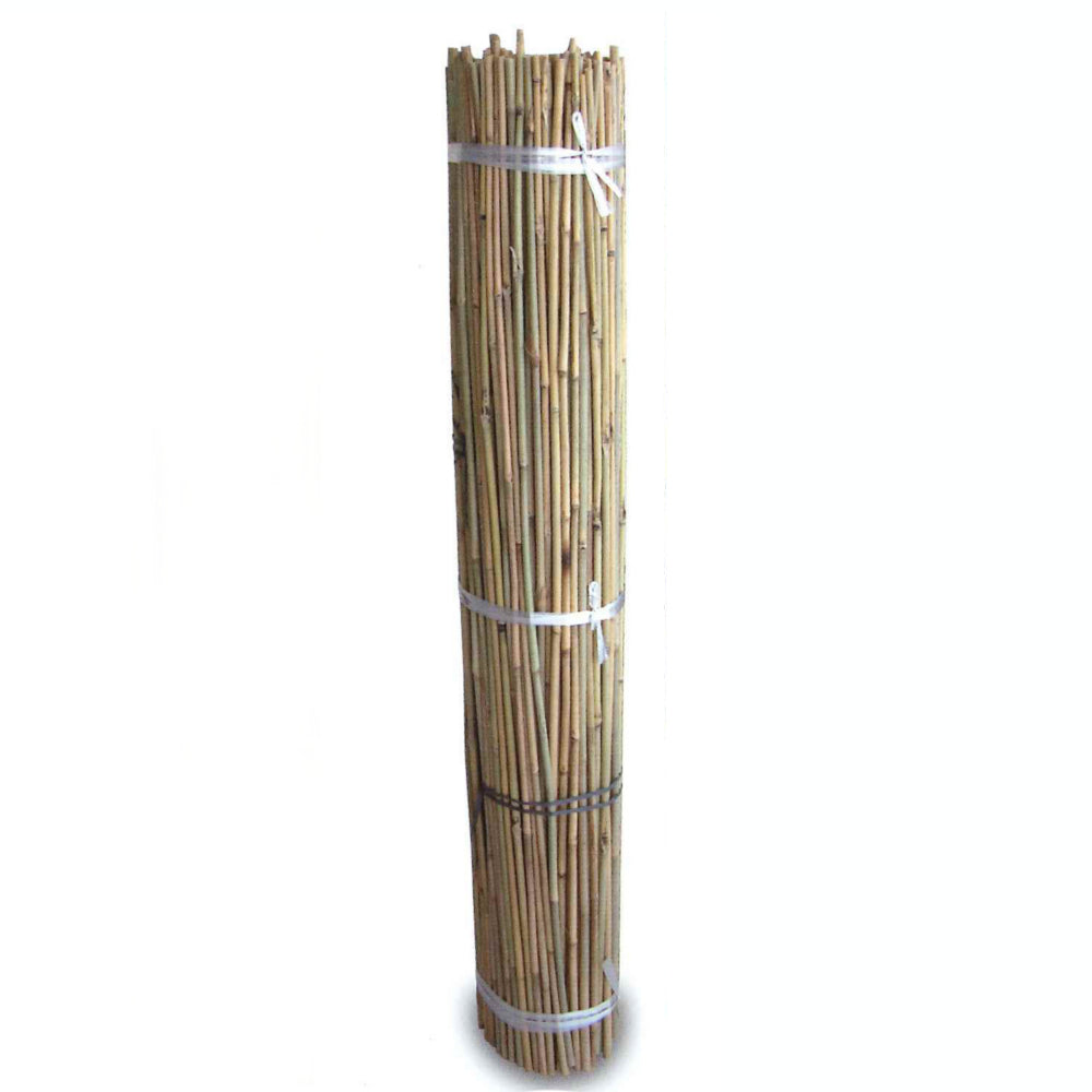 Tutores de Bambú 1,5m (300 und)