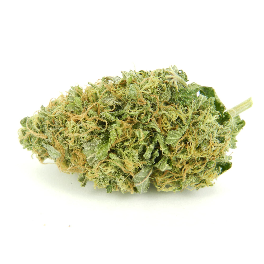 Torpedo Auto