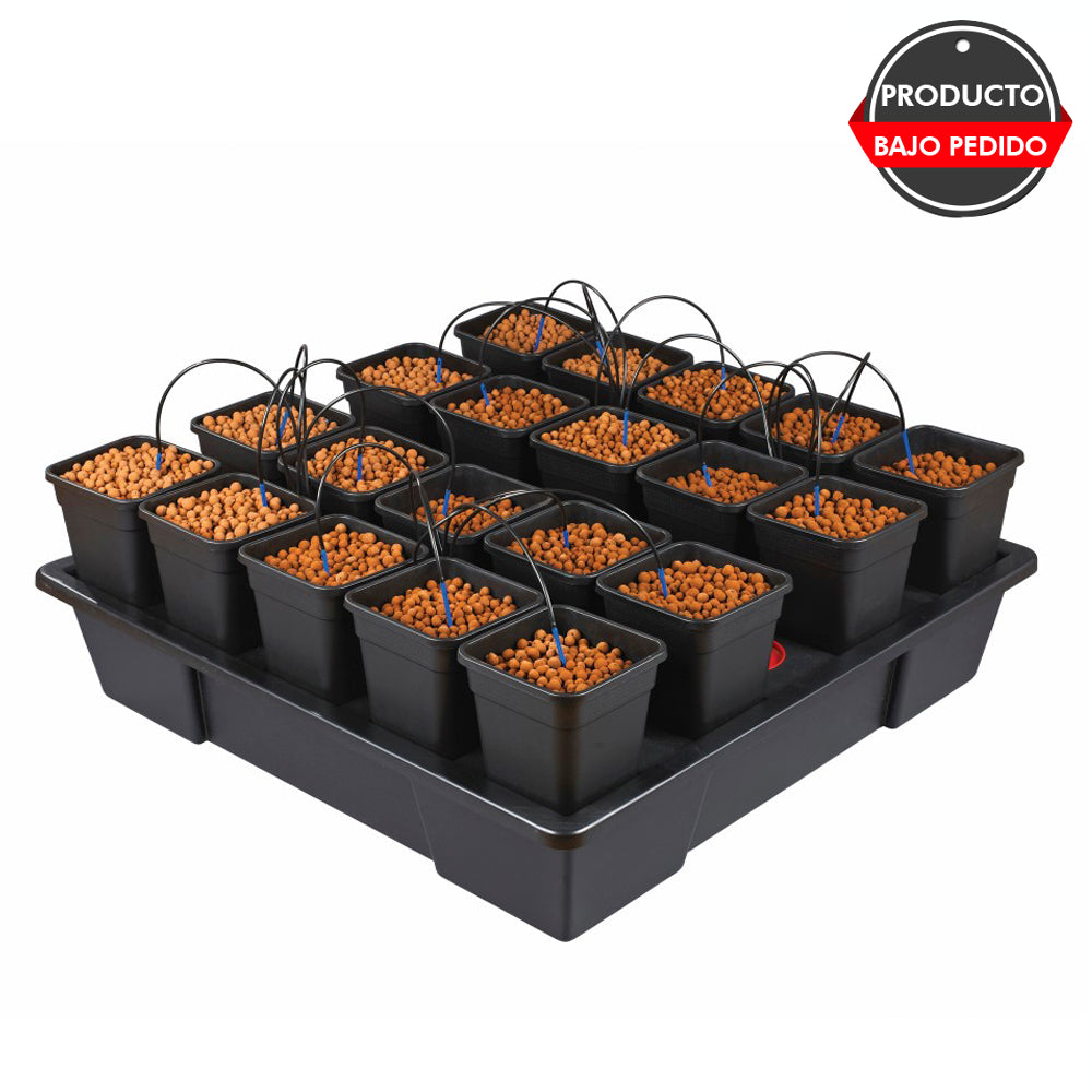Wilma XXL 20 macetas 6L