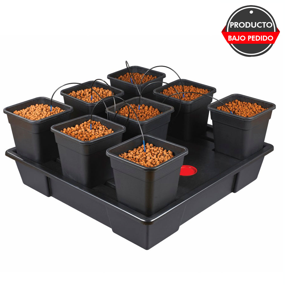 Wilma XXL 8 macetas 18L